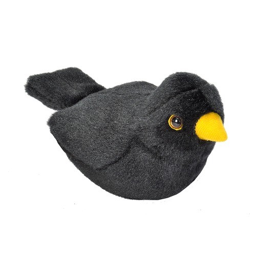 stuffed blackbird