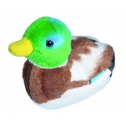 Peluche sonore Canard colvert