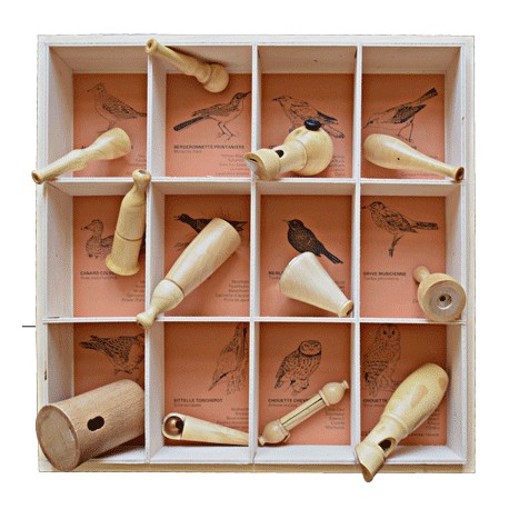 https://www.chiff-chaff.com/1122-large_default/coffret-appeaux-12-nids-collection-oiseaux-d-europe.jpg