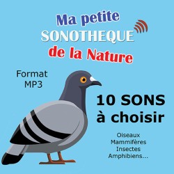 10 NATURAL MP3 SOUNDS TO CHOOSE FROM 128