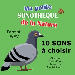 10 SONS WAV NATURE A CHOISIR PARMI 128