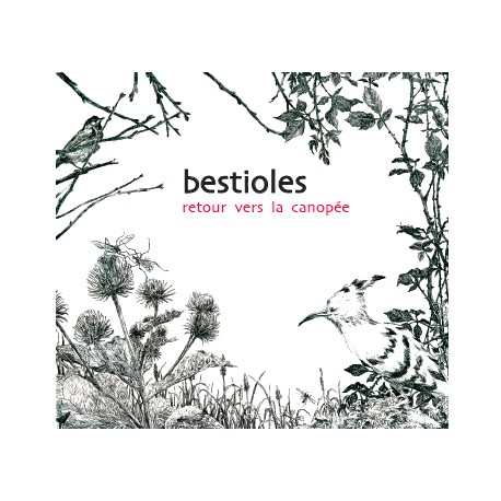 CD Bestioles, retour vers la Canopée