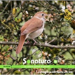 REVUE SONATURA N°15 : Du rossignol au Grand Corbeau en passant par la Moselle ou la Corse…(CD AUDIO)