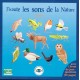 CLÉ USB : 5 CD "Guides naturalistes" au choix