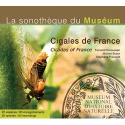 CIGALES DE FRANCE / CICADAS OF FRANCE (La Sonothèque du Muséum)