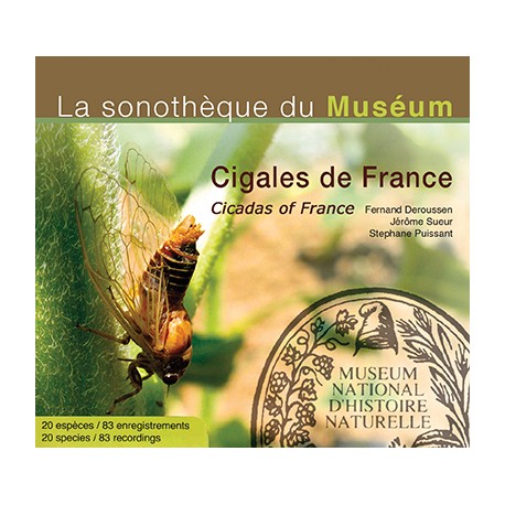 CD Cigales de France / Cicadas of France