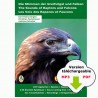 The Sounds of Raptors and Falcons (2 CD MP3 / PDF)