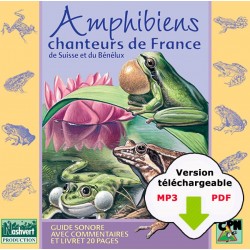 Amphibiens chanteurs de France, de Suisse et du Benelux (CD MP3 + PDF livret à télécharger)