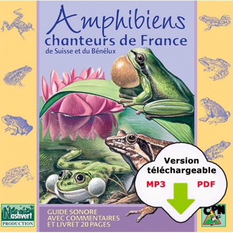 Amphibiens chanteurs de France, de Suisse et du Benelux (CD MP3 + PDF livret à télécharger)