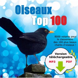 Oiseaux Top 100 (2 CD MP3 + PDF livret à télécharger)