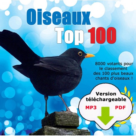 Oiseaux Top 100 (2 CD MP3 + PDF livret à télécharger)