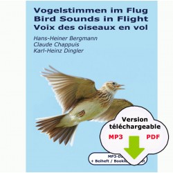 Voix des oiseaux en vol (350 MP3/PDF à télécharger)