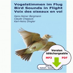 Voix des oiseaux en vol (350 MP3/PDF à télécharger)
