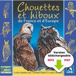 Chouettes et Hiboux de France (CD MP3 + PDF livret à télécharger)