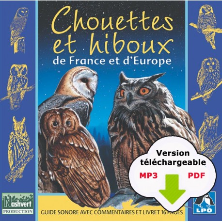 Chouettes et Hiboux de France (CD MP3 + PDF livret à télécharger)