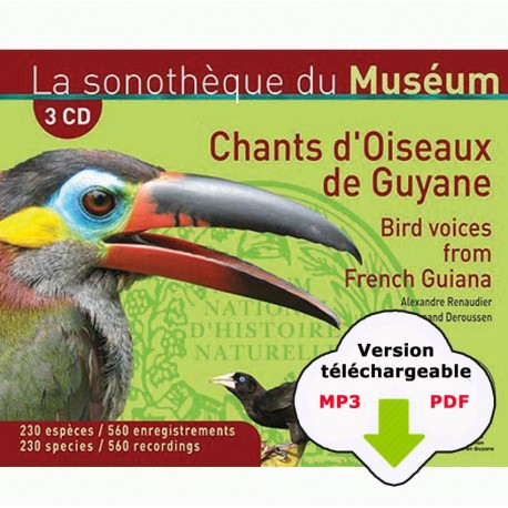 Chants d'oiseaux de Guyane (3 CD MP3+ PDF à télécharger)