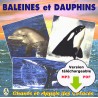 Whales and Dolphins (CD MP3 / PDF)