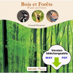 Bois et Forêts (WAV/PDF)