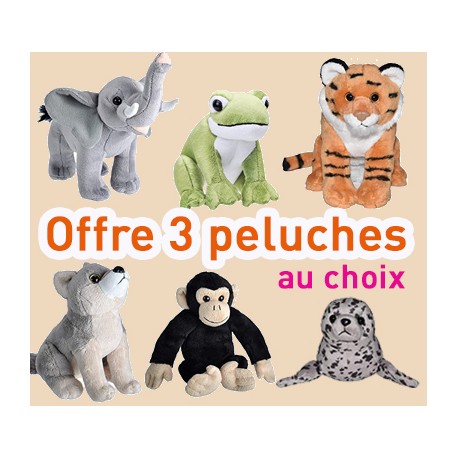 Ma petite sonothèque de la nature 10 SONS AU CHOIX