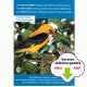 USB KEY: The birds of Europe (17 MP3 CDs)