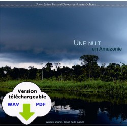 CARNET SONORE - Une nuit en Amazonie (WAV)