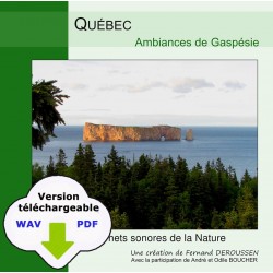 CARNET SONORE : Québec (WAV)