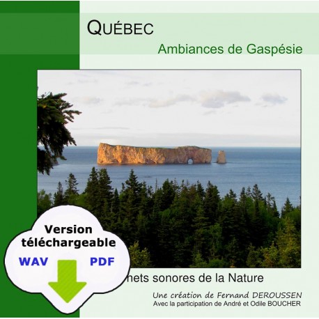 CARNET SONORE : Québec, ambiances de Gaspésie (CD en WAV)