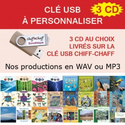 CLÉ USB avec 3 CD au choix (WAV ou MP3)