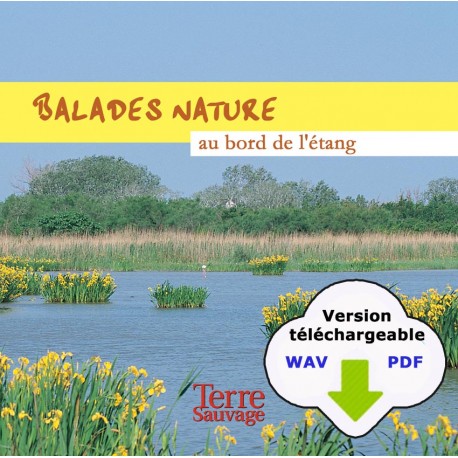 Balade nature au bord de l'étang (CD WAV à télécharger)