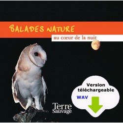 Balade nature au coeur de la nuit (CD WAV à télécharger)