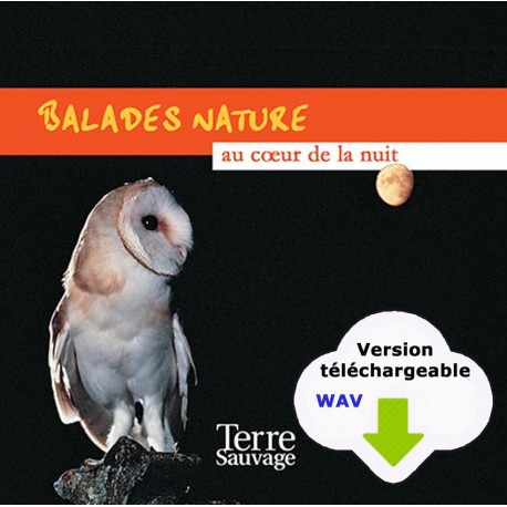 Balade nature au coeur de la nuit (CD WAV à télécharger)