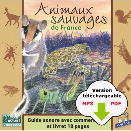 Wild animals of France (MP3 CD without PDF)