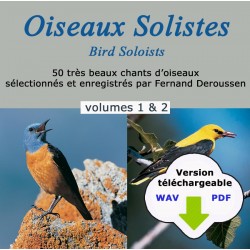 BIRD SOOISTS VOL.1 & 2  (WAV+PDF)