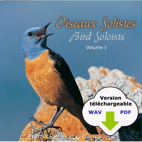 OISEAUX SOLISTES VOL.1  (WAV+PDF)