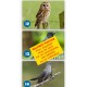 PACK 70 chants d'oiseaux