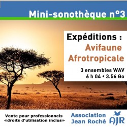 Mini-Sonothèque n°3 : Avifaune Afrotropicale (Jean Roché - Droits inclus)