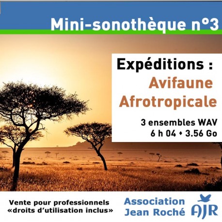 Mini-Sonothèque n°3 : Avifaune Afrotropicale  (ASSOCIATION JEAN ROCHÉ)