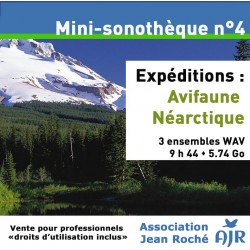 Mini-Sonothèque n°4 : Avifaune Néarctique (ASSOCIATION JEAN ROCHÉ)