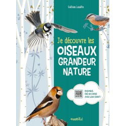 Je découvre les oiseaux grandeur nature (Livre)