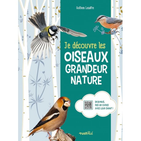 Attirer les oiseaux dans mon jardin (J'agis pour la biodiversité)