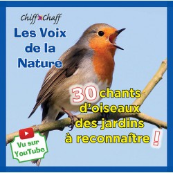 30 chants d’oiseaux des jardins  à reconnaître ! (SONS MP3)