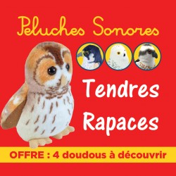 OFFRE : 4 peluches sonores "TENDRES RAPACES"