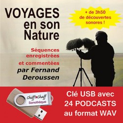 CLÉ USB avec  24 PODCASTS de Fernand Deroussen (WAV)