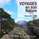 USB KEY: 3 CD "Naturalist guides" of your choice