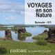 USB KEY: 3 CD "Naturalist guides" of your choice