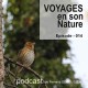 USB KEY: 3 CD "Naturalist guides" of your choice