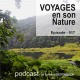 USB KEY: 3 CD "Naturalist guides" of your choice