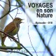 USB KEY: 3 CD "Naturalist guides" of your choice