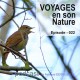 CLÉ USB : 23 PODCASTS de Fernand Deroussen (WAV ou MP3)