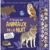 OISEAUX : AGENDA 2024 / Portraits et chants d'oiseaux au fil des mois